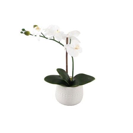 Conservatorio 12 in RealTouch Orchid Mayan Ceramic PoE Planter White CO1766737